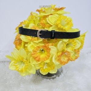 Coach Women Brown Belt with Gold Buckle F78179 Size Small